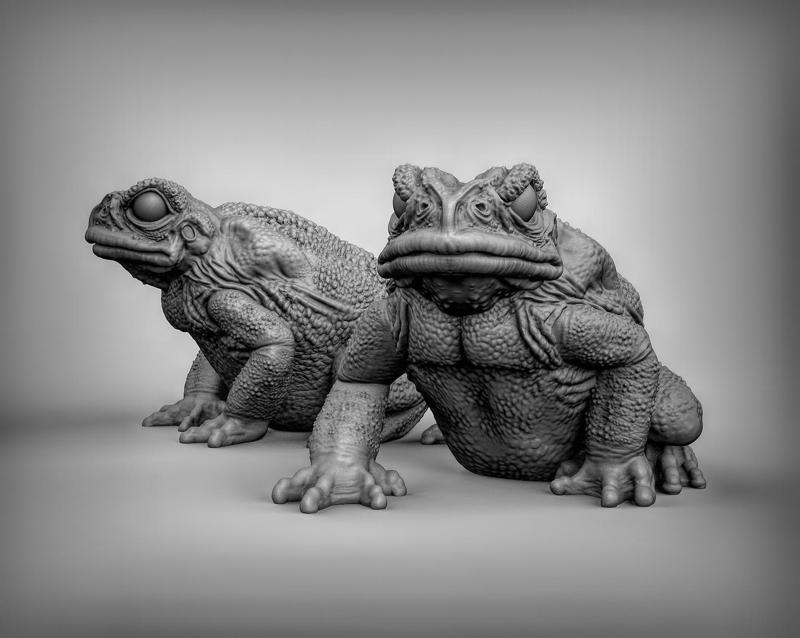 Giant Toads