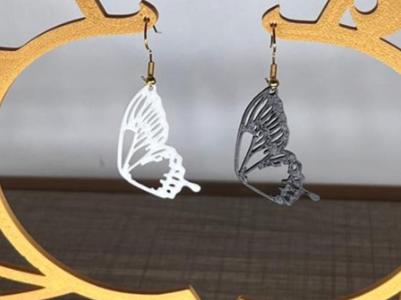 Earrings Art - Wings