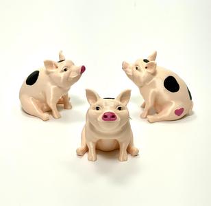 Multi colour piggy!