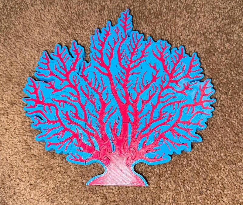 Survivor Coral Reef Puzzle