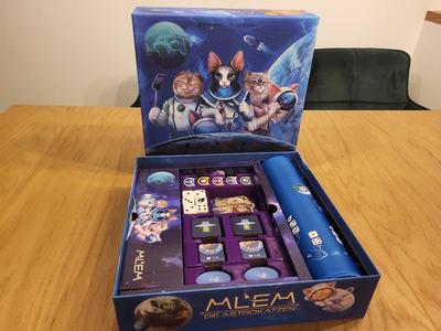  MLEM Space Agency insert