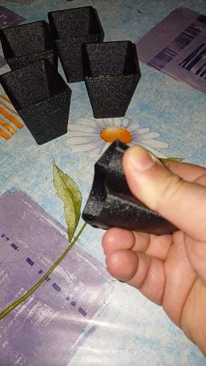 Seedlings tray small 