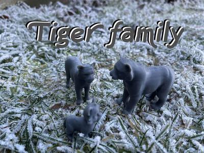 Tiger family   
