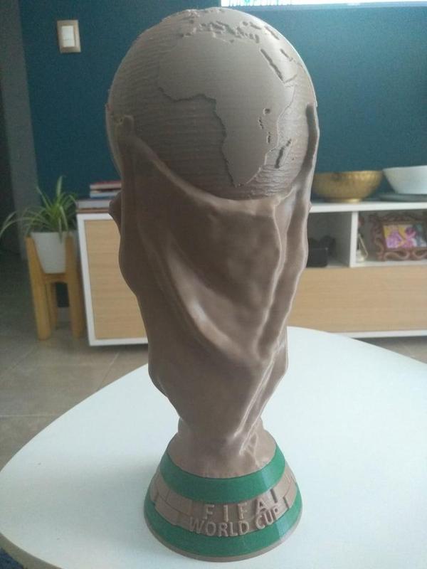 Copa del Mundo seccionada