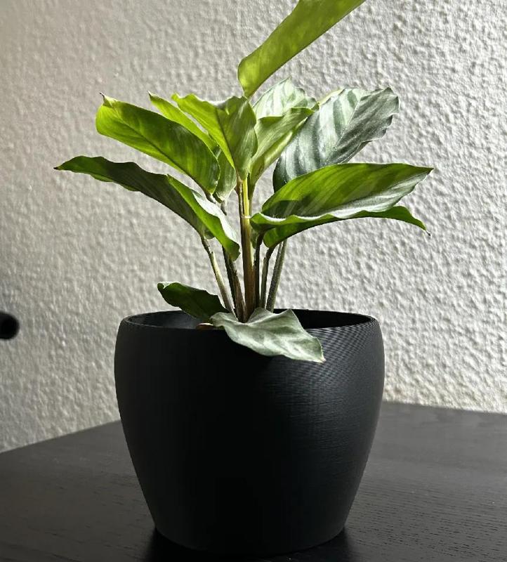 Clean Flower Pot and Planter for Plants Flowerpot   