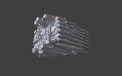 organic rock texture ring v2