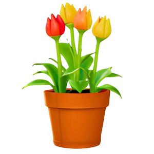 Tulip Flower Pot