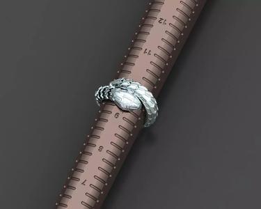 Serpenty snake ring  5 Size  flexed 3D print model