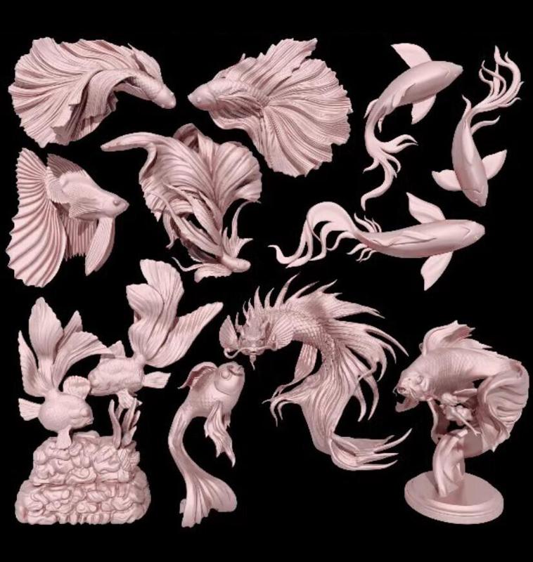 Goldfish-Arowana-Lucky Fish-Betta 13 Collection