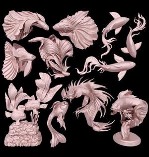 Goldfish-Arowana-Lucky Fish-Betta 13 Collection