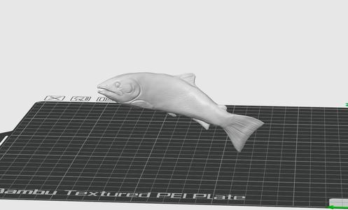 Sockeye Salmon fish, fishermans statue / figurine / fishing