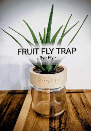 Fruit Fly Trap - Bye Fly