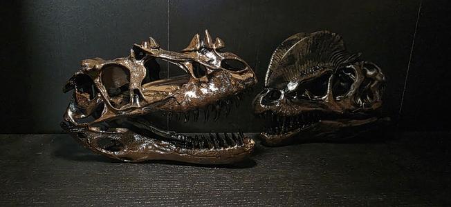 Ceratosaurus