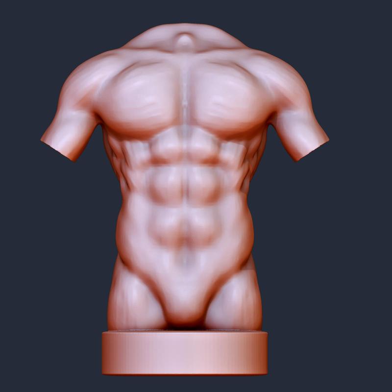 Torso Male Art