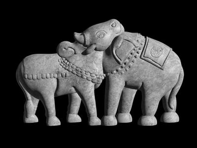 Toro-Elefante (Ilusión Óptica)