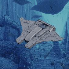 Nautilus Shadow