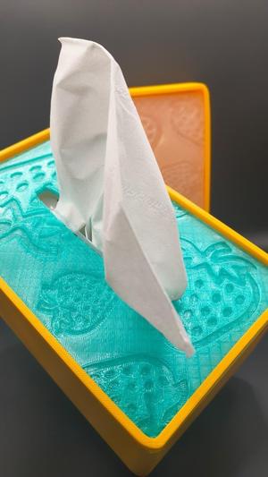 Stylish Sliding Lid Tissue Box - Strawberry & Blank Versions