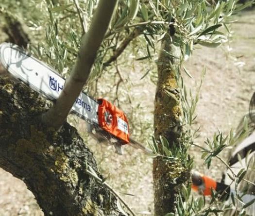 Chonkys Custards Gardening Tools