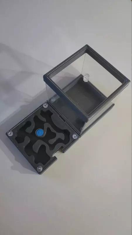 Anthill with hunting area  Hormiguero con zona de caza