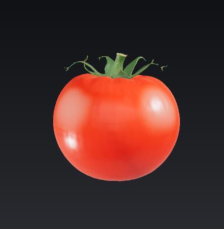 Tomato