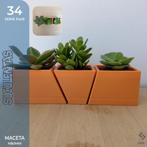 PotB_34