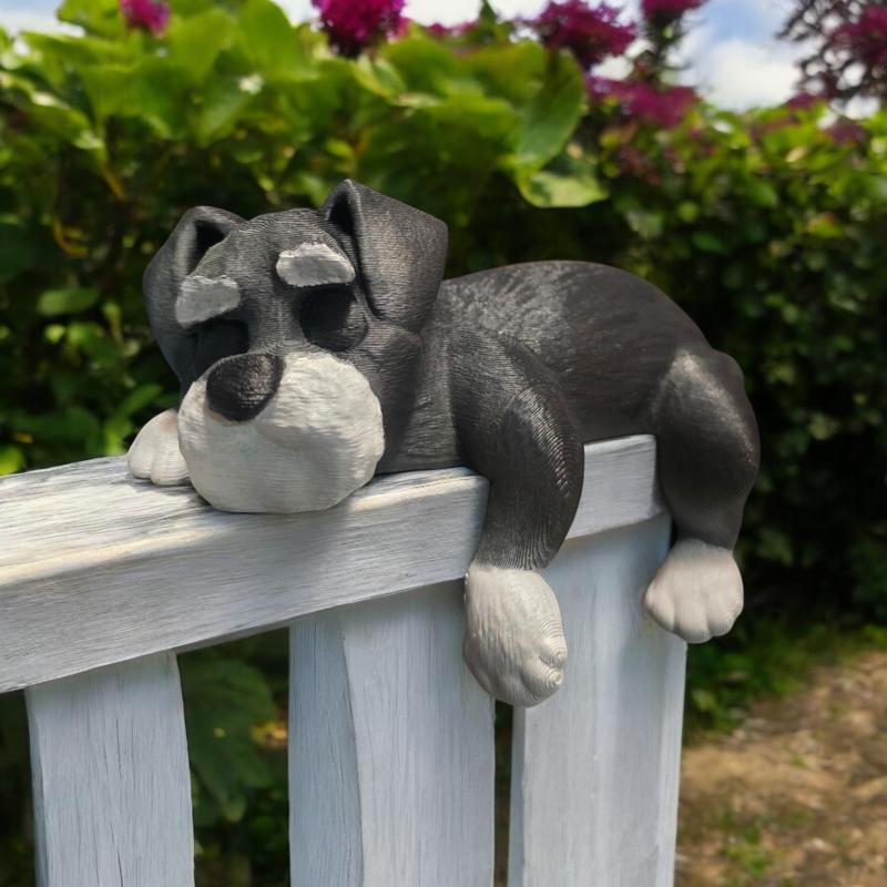 Sleeping Schnauzer DogOn A Shelf