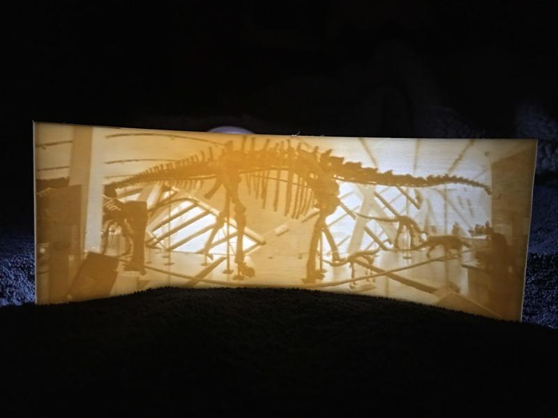 Barosaurus Lithophane