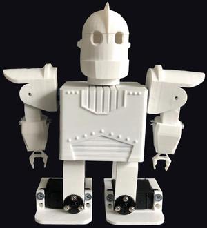 Micro-Humanoid Robot