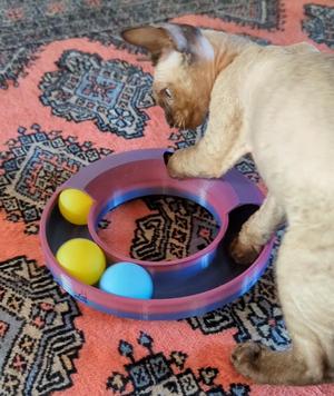 Cat track