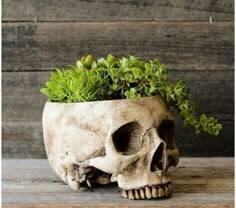 skull pot
