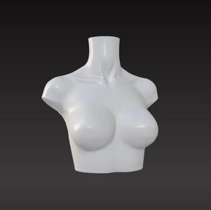 woman bust