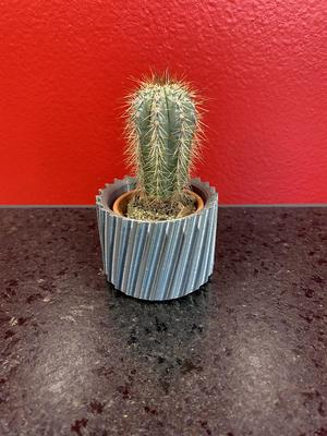 Plant-Pot - Cactus