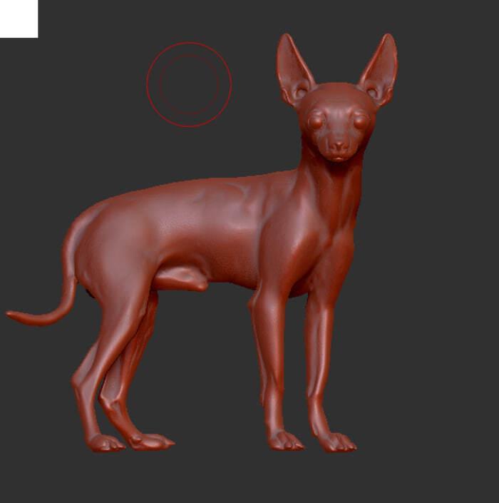 Russian Toy Terrier