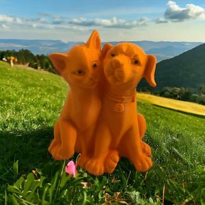 Dog and Cat friend
