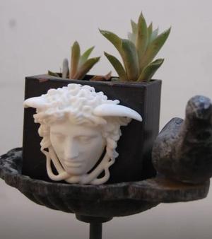 Maceta Medusa Rondanini / Medusa Rondanini Plant Pot