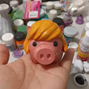 HE-MAN PIG