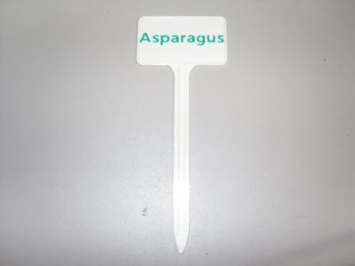 Plant Label Asparagus