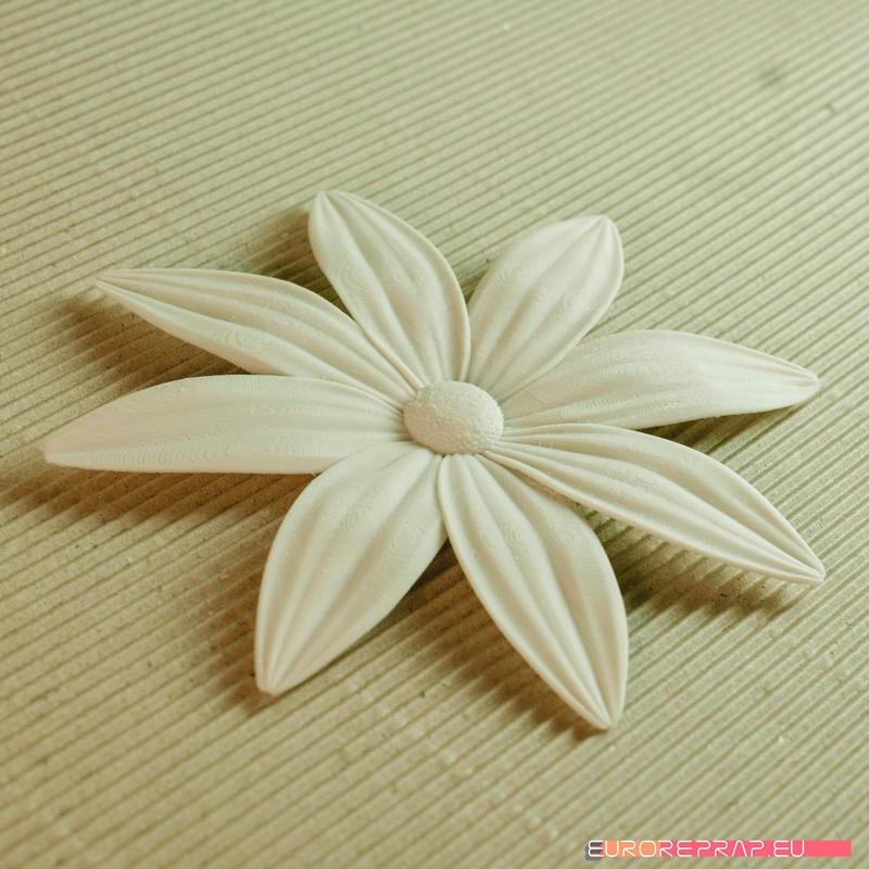 flowers: Aster - 3D printable model