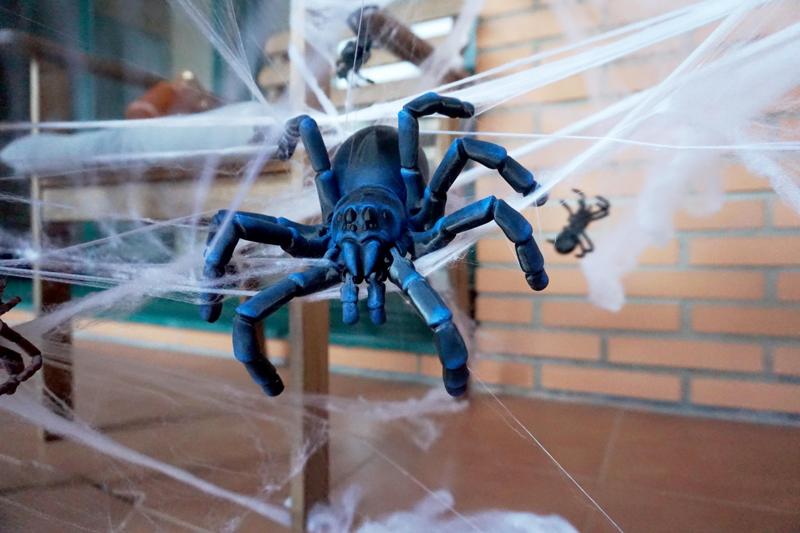 Articulated Tarantula