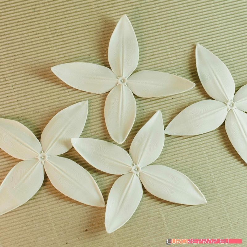 flowers: Ixora - 3D printable model