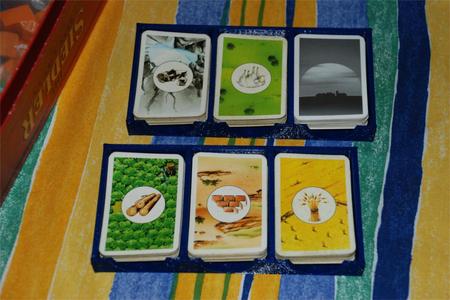 Spielkarten-Halterung für Die Siedler von Catan