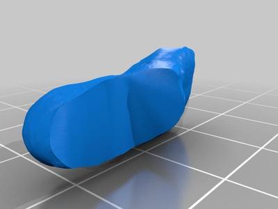 3D scan of a foot