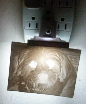 Lithophane nightlight holder