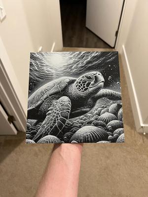 Turtle Art Hueforge