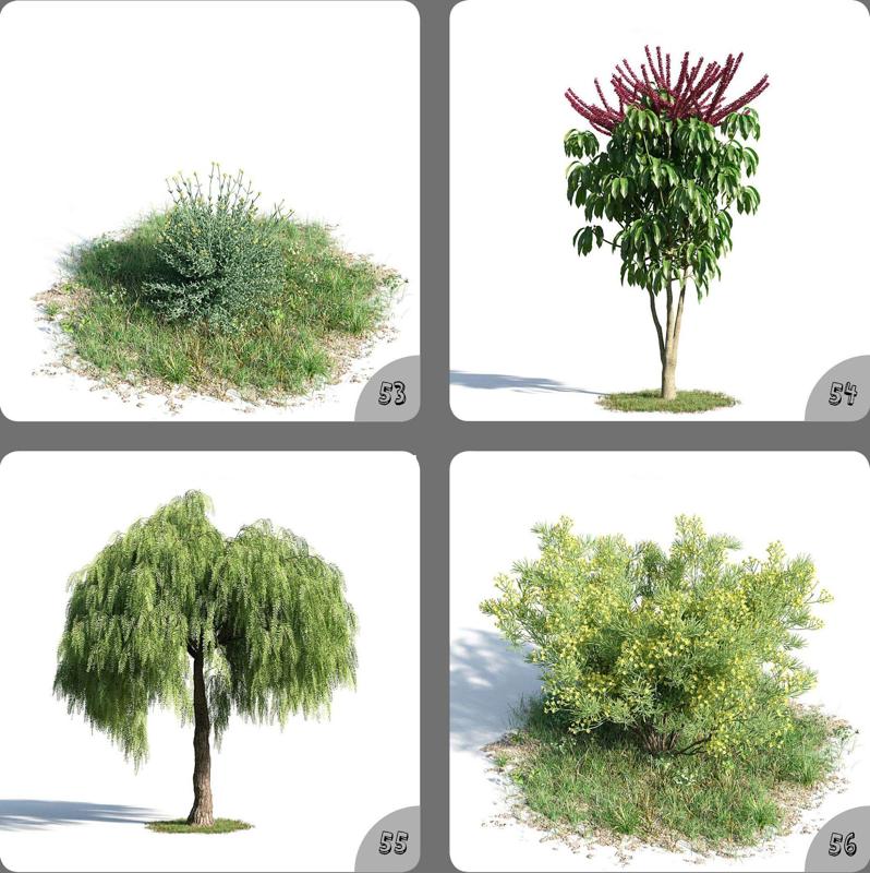 Plant Tree And Flowers Home 3D Model 53-56