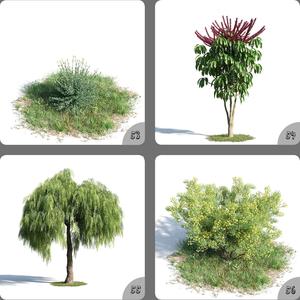 Plant Tree And Flowers Home 3D Model 53-56