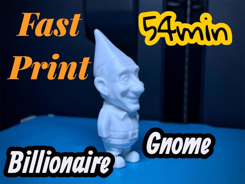 The Richest Gnome in the World