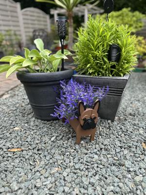 french Bulldog Planter