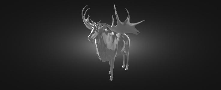 Elk