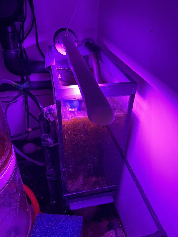 refugium kit red sea reefer 170